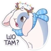 Wo TAM?