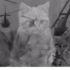 aaaaaaaaaaaaaaaaaaaaaaaaaaaaaaaa 25
