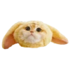 Cats in hats 28