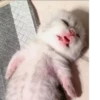Gatau ini apah 20