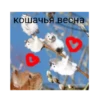 Happy cats 13