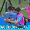 Copa america 17