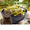 Postcards from whatsapp 18