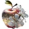 Crystal Apples 1 28