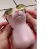 aaaaaaaaaaaaaaaaaaaaaaaaaaaaaaaa 27