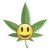Ganja friend 30