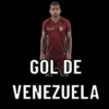 Copa america 19