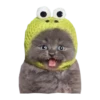 Cats in hats 29