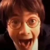 Harry Potter 30