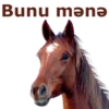 Bunu mənə