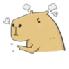 Hey Capybara! 6