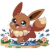 cokki