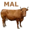 MAL