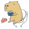 Hey Capybara! 9