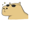 Hey Capybara! 10