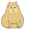 Hey Capybara! 11
