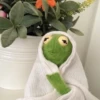 Kermit la rana 11