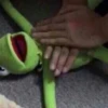 Kermit la rana 12