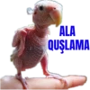 ALA QUSLAMA