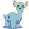 cokki