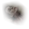 Horrors pack by 10