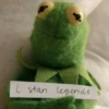 Kermit la rana 15