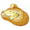 Happy Beardies 9