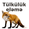 Tülkülük elǝma