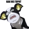JOJO'S BIZARRE ADVENTURE 12