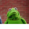Kermit la rana 16