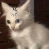 ??‍♀ [ ] 8