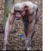 MONKEY 🛐🐵 12