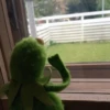 Kermit la rana 18