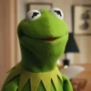 Kermit la rana 19