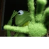 Kermit la rana 20