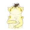 Happy Beardies 12