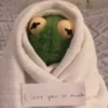 Kermit la rana 21
