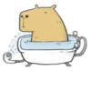 Hey Capybara! 15