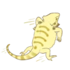 Happy Beardies 14