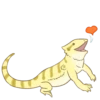 Happy Beardies 15