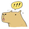 Hey Capybara! 16