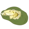 Happy Beardies 17