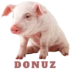 DONUZ
