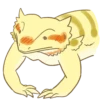 Happy Beardies 19