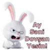 Ay Səni Dovşan Yesin!