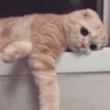 ??‍♀ [ ] 15
