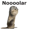 Noooolar