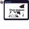редька Злая редька