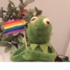 Kermit la rana 22