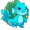 cokki